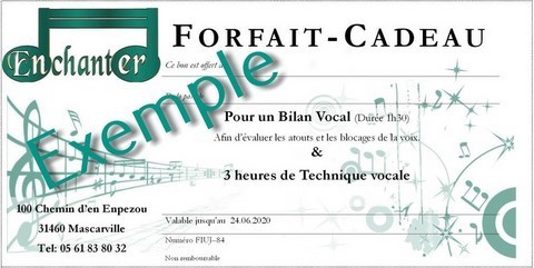 Forfait cadeau Technique Vocale